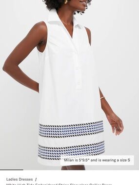 White Sleeveless Collared Shift Dress with Navy Embroidered Stripes - Tuckernucj